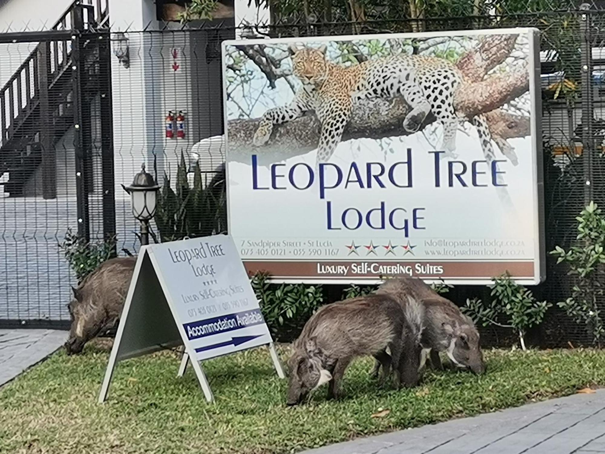 Leopard Tree Lodge Saint Lucia Estuary Buitenkant foto