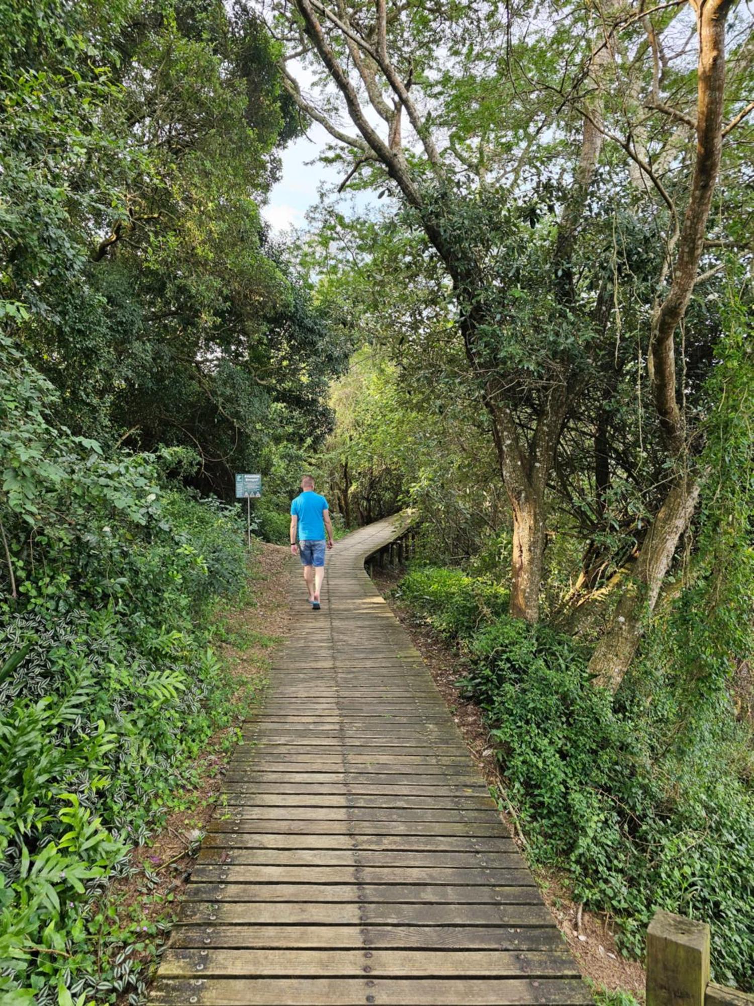 Leopard Tree Lodge Saint Lucia Estuary Buitenkant foto