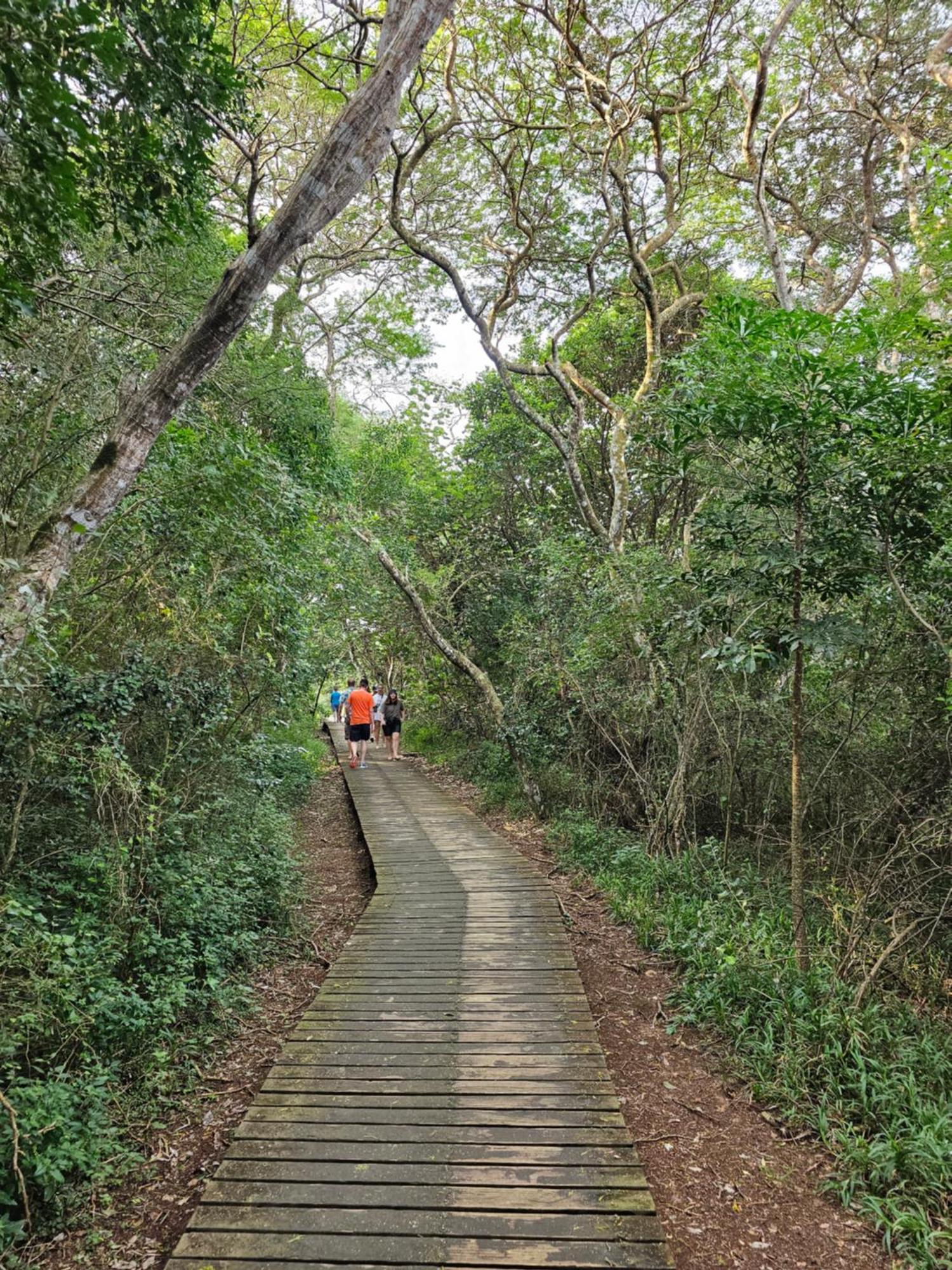 Leopard Tree Lodge Saint Lucia Estuary Buitenkant foto