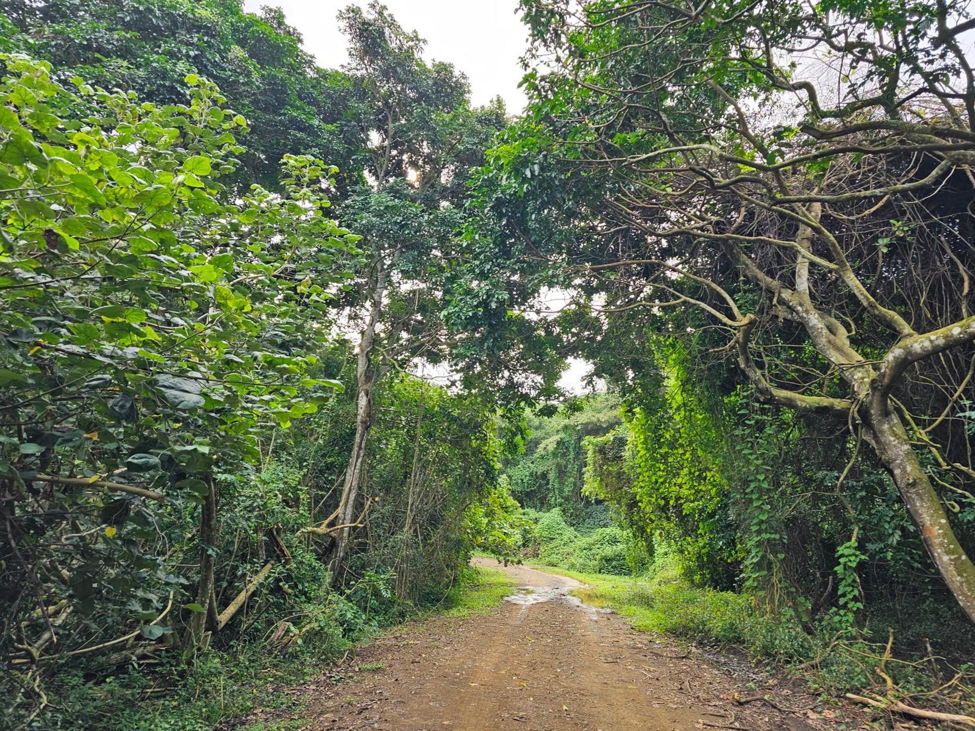 Leopard Tree Lodge Saint Lucia Estuary Buitenkant foto