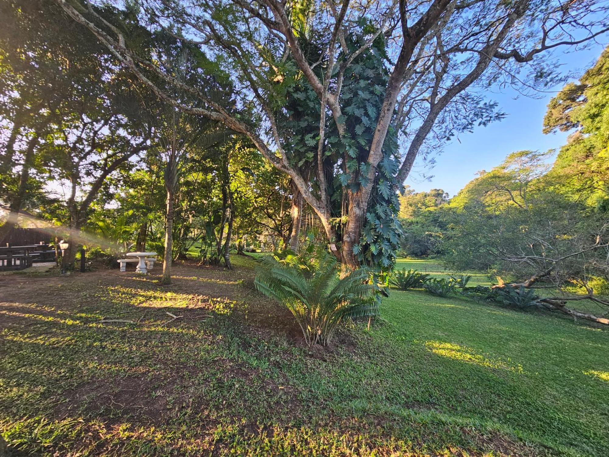 Leopard Tree Lodge Saint Lucia Estuary Buitenkant foto