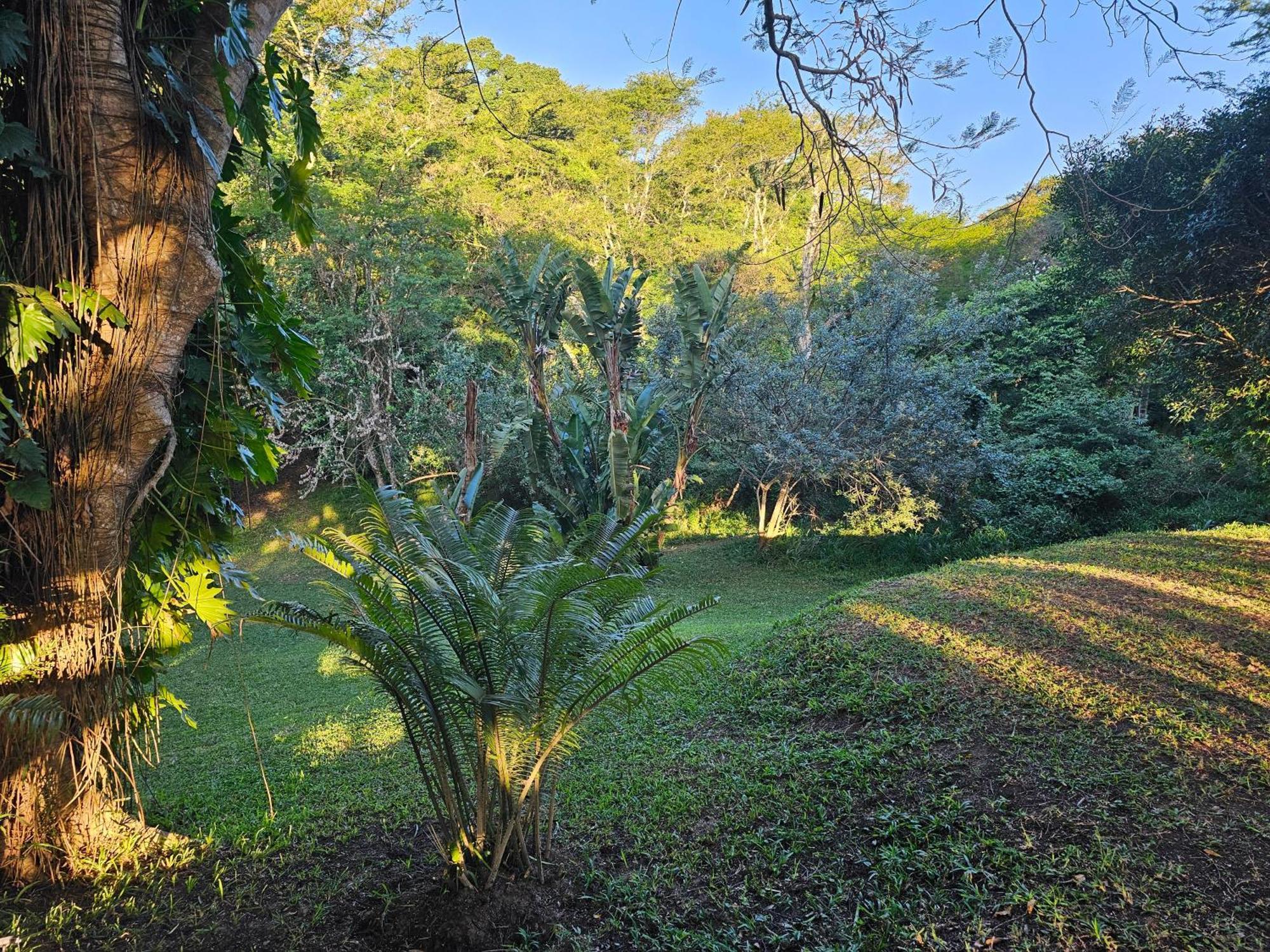 Leopard Tree Lodge Saint Lucia Estuary Buitenkant foto